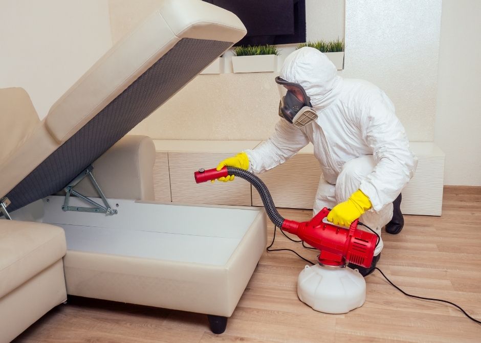 Çankırı Haşere İlaçlama